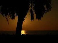 sunset wallpaper.webp