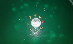 may 25 17 gold.webp