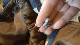 rock.webp