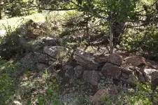 DSCF2803.webp