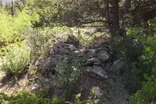 DSCF2804.webp