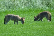K1600_DSCN3448.webp