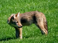 K1600_DSCN3446.webp