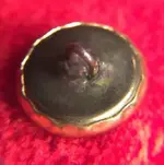 button back.webp