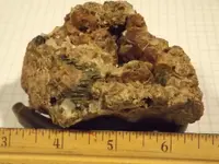 DSCF4106.webp