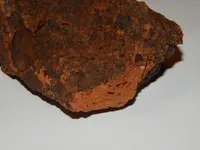 DSCN6664.webp