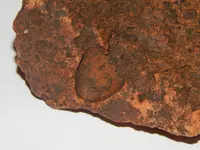 DSCN6665.webp