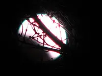 eclipse 002.webp