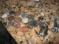 IMG_0007.webp