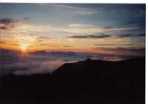 sun copy.webp