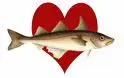 other fish in the sea.webp