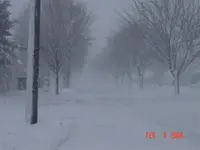 winter white out.webp