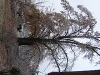 DSC01117.webp