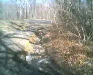 Photo7002.webp