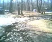 Photo7007.webp