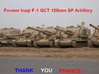 Thanks France.webp