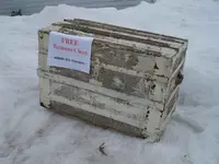 chest2.webp