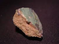 DSCN05380001.webp