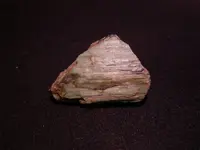 DSCN05360001.webp