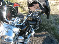 hunt ride.webp