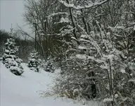 Misc jan14 947-Changed.webp