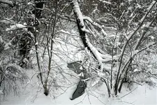 Misc jan14 951-Changed.webp