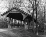 Walk%20your%20horse_thumbnail (2).webp