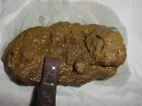 Rusty Doo-doo.webp