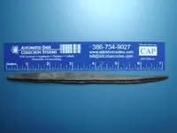 giantbonepin (1).webp