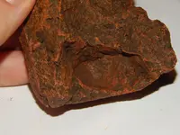 DSCN6666.webp