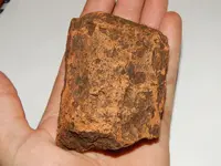DSCN6667.webp