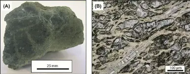 Fig-2-Partially-serpentinized-peridotite-from-the-Szklary-Massif-A-macroscopic-view.webp