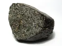 NWA869Meteorite.webp