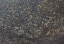 Twodot_shock-veins.webp
