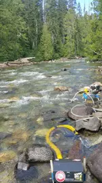 20150723_101958.webp