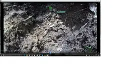 Pine Tree in the hole!.webp