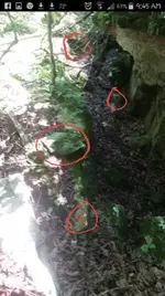20170621_070021.webp