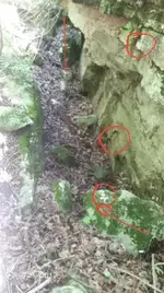 20170621_065743.webp