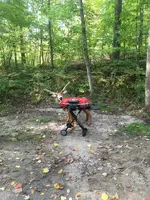 BBQ Deer.webp