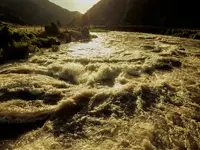 trip 062017 1.webp