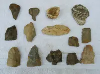 DSCN0292.webp