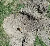 RF7-19-17PI.webp RF7-19-17PI.webp