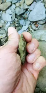 20170621_110548.webp
