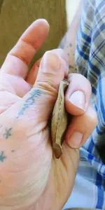 20170602_160935.webp