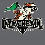 popuptee_calvinball_1464797561.full.webp popuptee_calvinball_1464797561.full.webp