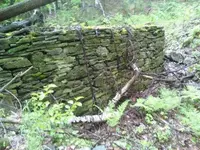 downsized950526071701.webp