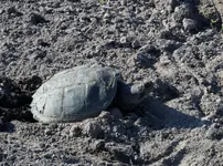 K1600_DSCN2529.webp