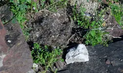 K1600_DSCN2549.webp
