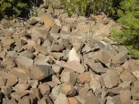DSCN1311.webp