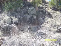 100_1687.webp
